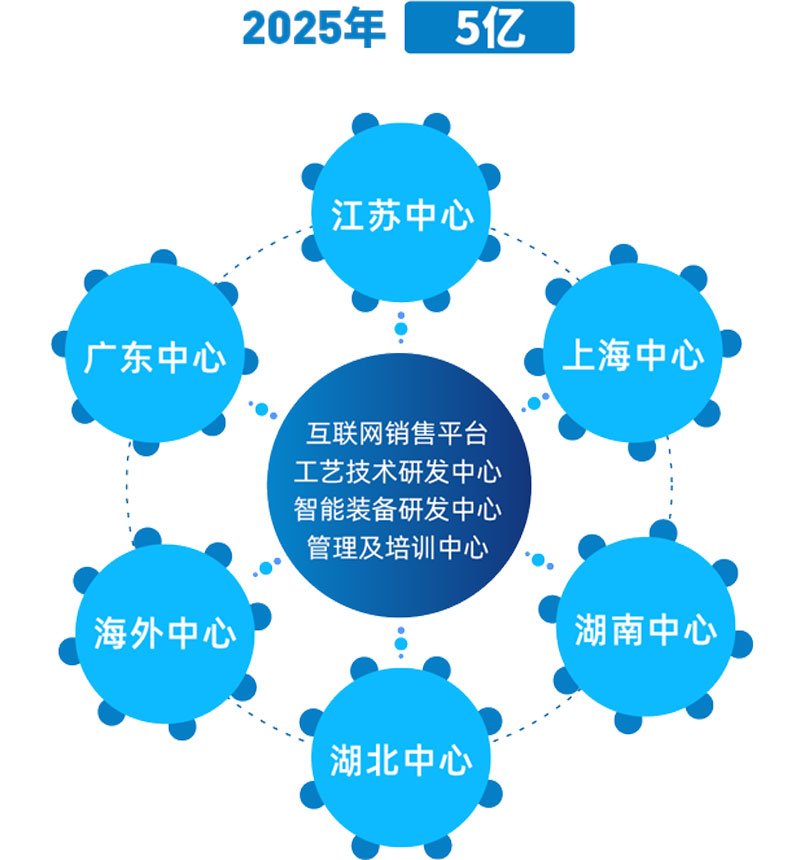 2025年五亿